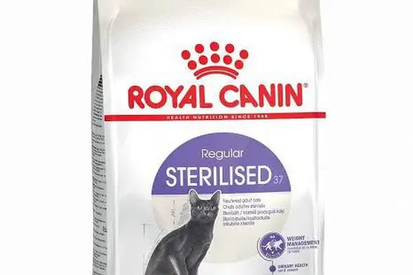 Vizyon Petshop - Resim 14
