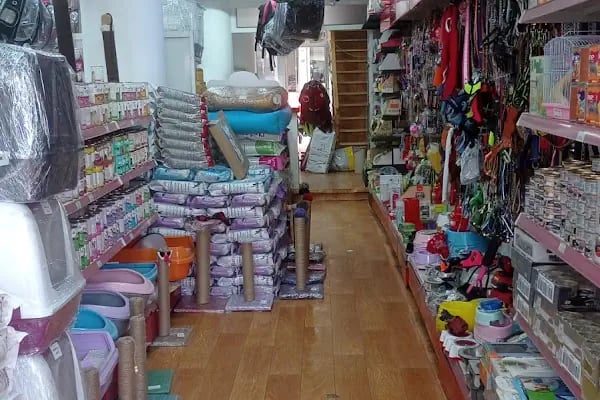 Vizyon Petshop - Resim 6