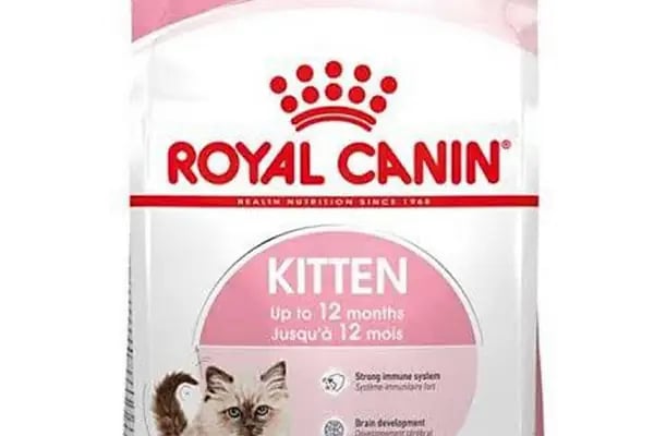 Vizyon Petshop - Resim 11