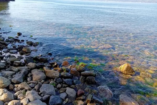 Kumyaka Baş Melekler Kilisesi - Resim 20
