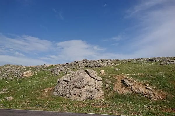 15 Temmuz Şehitler Parkı ve Piknik Alanı - Resim 15