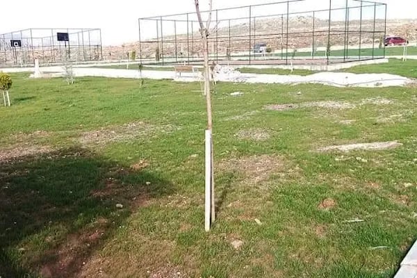 15 Temmuz Şehitler Parkı ve Piknik Alanı - Resim 20