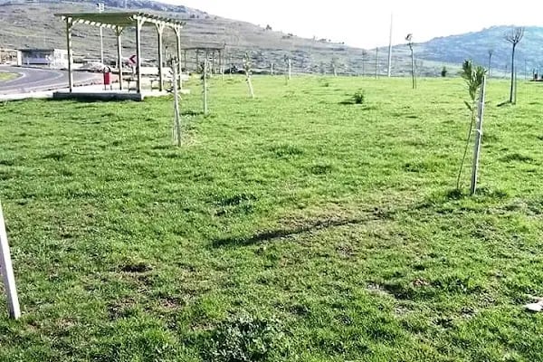15 Temmuz Şehitler Parkı ve Piknik Alanı - Resim 17