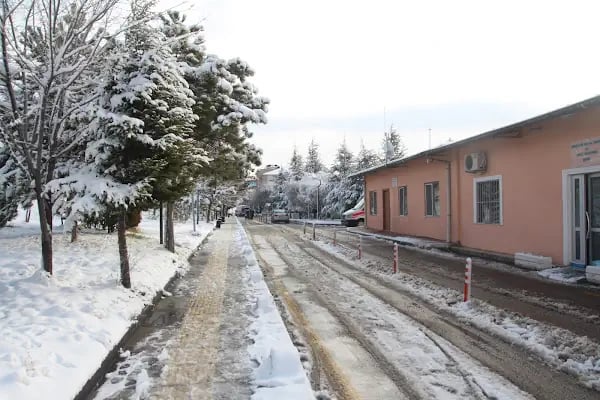 Dr. Abdurrahman Yurtaslan Ankara Onkoloji Eğitim ve Araştırma Hastanesi - Resim 19