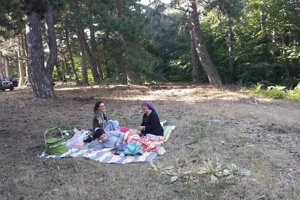 Belde Piknik Alanı - Resim 15