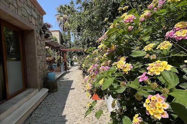 Pınarhan Studio Otel - Resim 5
