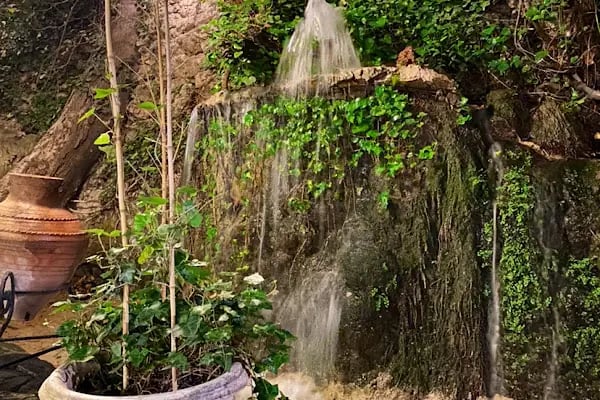 Değirmende Canlı Alabalık - Resim 18