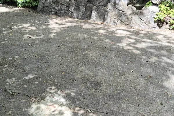 Değirmende Canlı Alabalık - Resim 15