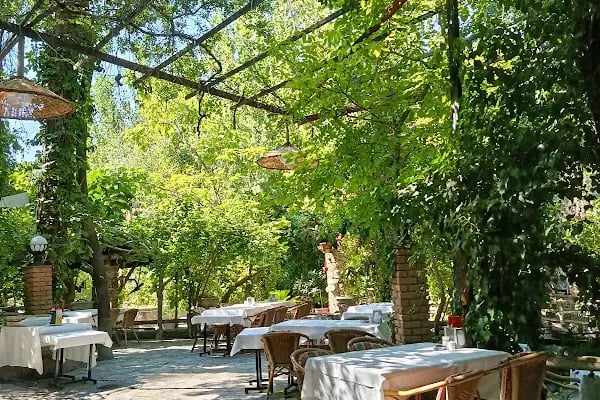 Değirmende Canlı Alabalık - Resim 2
