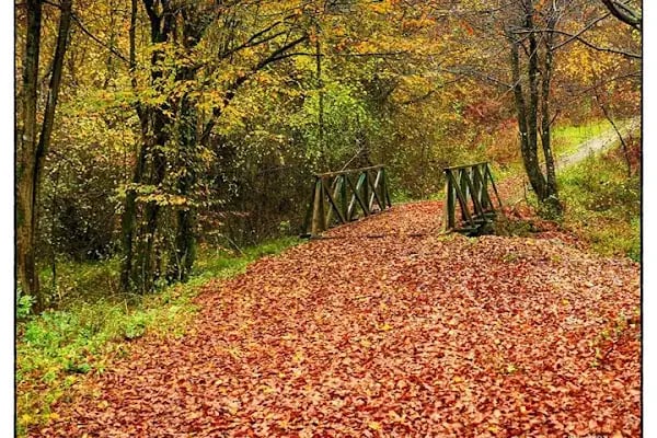 Ahatlar Tabiat Parkı - Resim 17