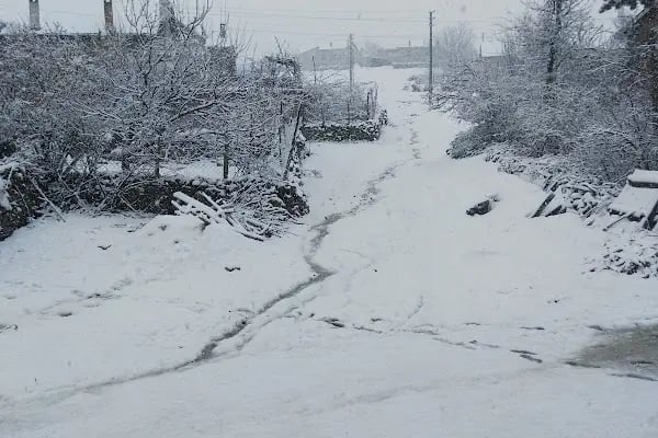 İnlice Köyü Cami - Resim 2