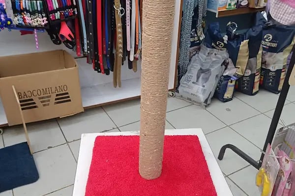 Patilendin Petshop - Resim 13