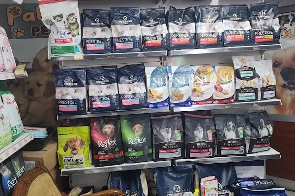 Patilendin Petshop - Resim 4