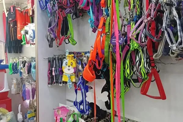 Patilendin Petshop - Resim 8
