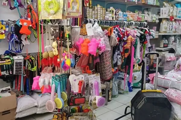 Patilendin Petshop - Resim 7