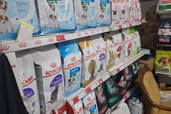 Patilendin Petshop - Resim 6
