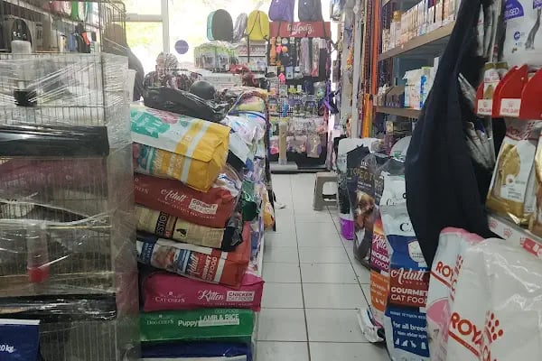 Patilendin Petshop - Resim 2