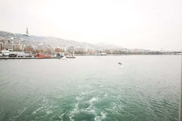 1 Mart Vapur İskelesi - Resim 3