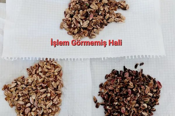 GÖREN GIDA - Resim 14