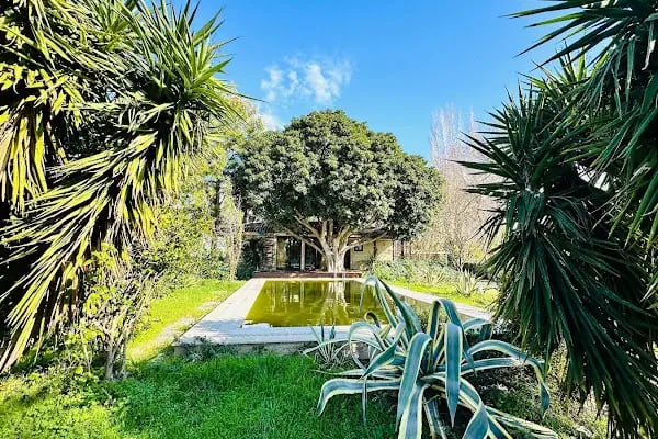 Villa Serenity - Resim 14