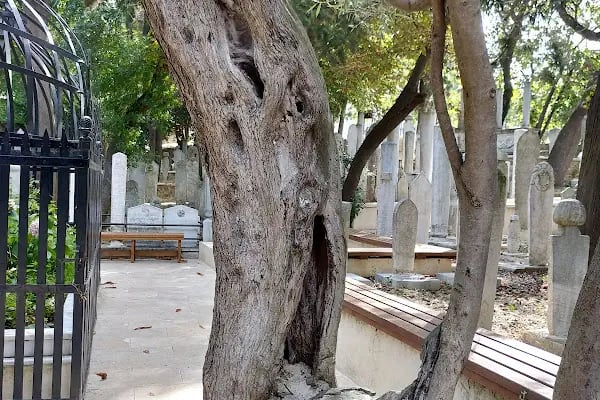 Selami Baba Türbesi - Resim 8