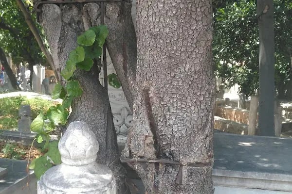 Selami Baba Türbesi - Resim 19