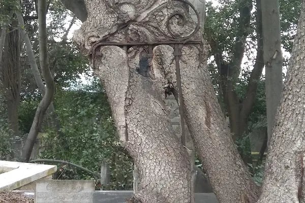 Selami Baba Türbesi - Resim 11