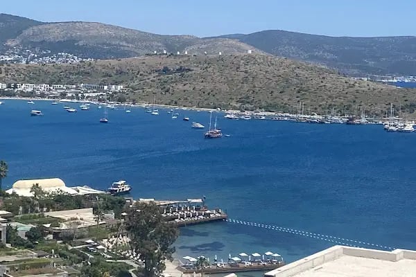 Octopus Bodrum Gayrimenkul - Resim 2