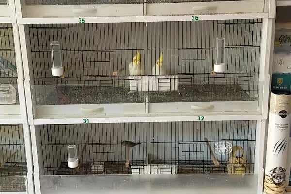 MGB PET MARKET - Resim 7