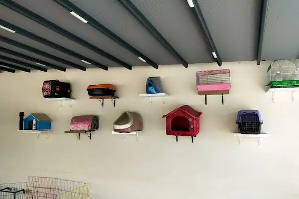 MGB PET MARKET - Resim 16