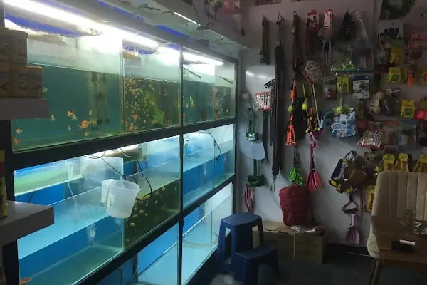 MGB PET MARKET - Resim 10