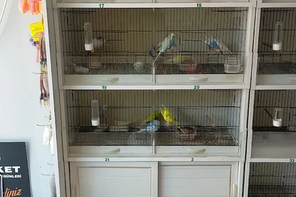 MGB PET MARKET - Resim 11