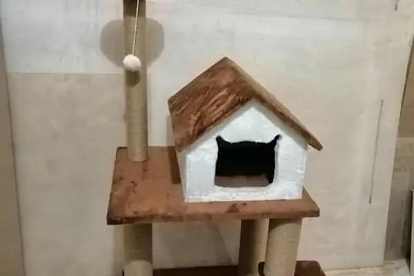 ÇANTAY AKVARYUM PETCİTY - Resim 8