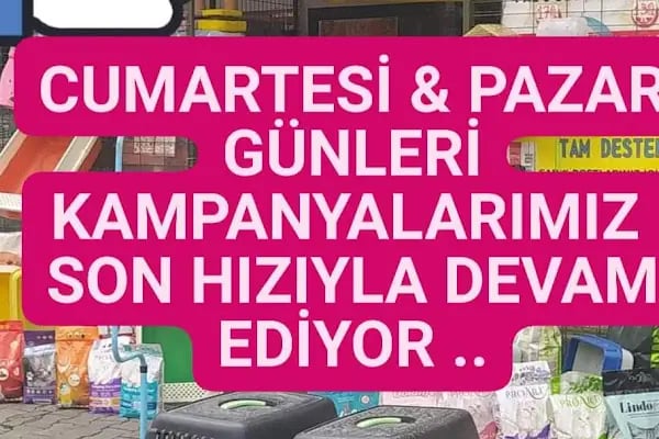 ÇANTAY AKVARYUM PETCİTY - Resim 4