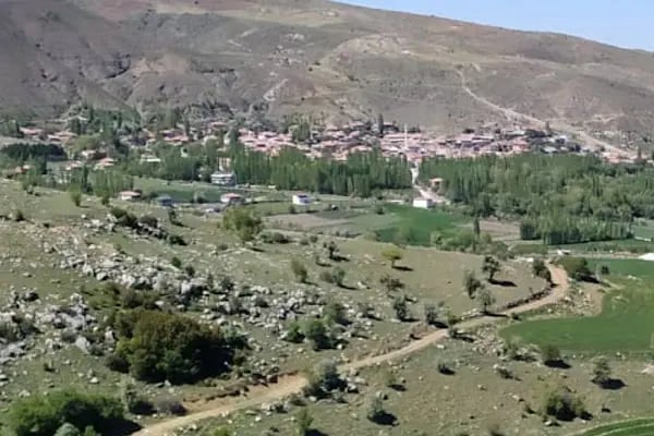 Elecik Köyü Muhtarlığı - Resim 1