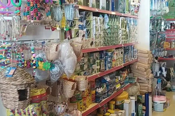 CEMRE PETSHOP - Resim 4