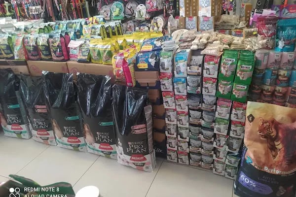 CEMRE PETSHOP - Resim 13