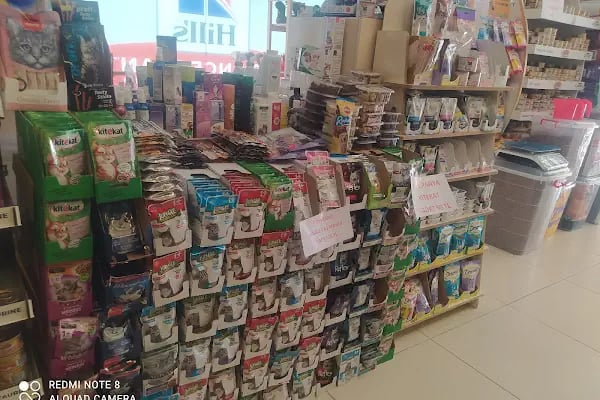CEMRE PETSHOP - Resim 7