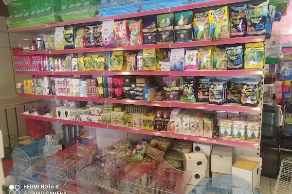 CEMRE PETSHOP - Resim 16