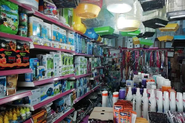 CEMRE PETSHOP - Resim 6