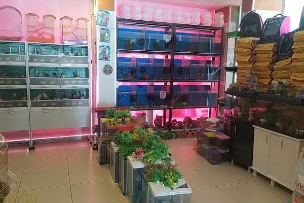 CEMRE PETSHOP - Resim 15