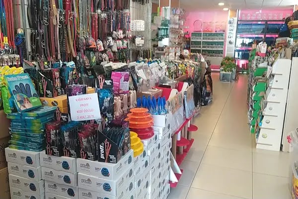 CEMRE PETSHOP - Resim 19