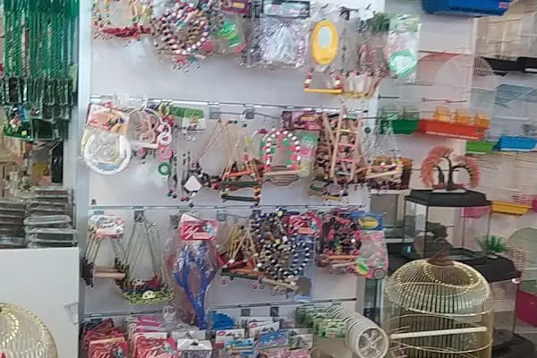 CEMRE PETSHOP - Resim 11