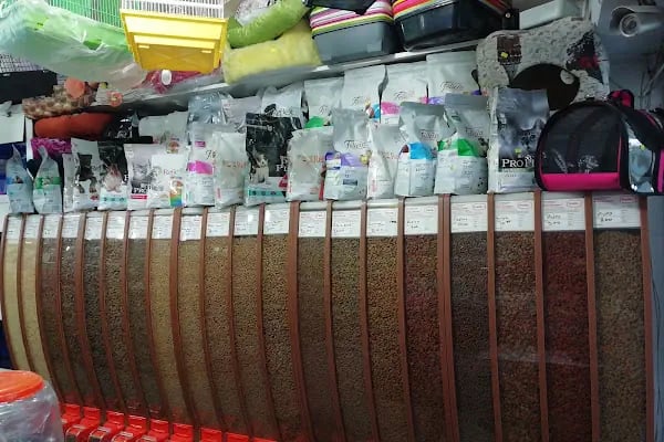 CEMRE PETSHOP - Resim 14