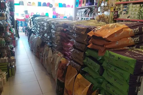 CEMRE PETSHOP - Resim 12