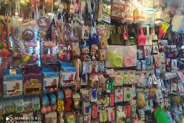 CEMRE PETSHOP - Resim 3