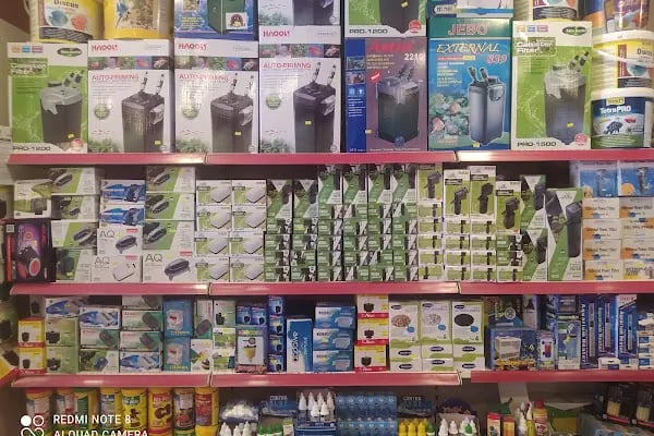 CEMRE PETSHOP - Resim 9
