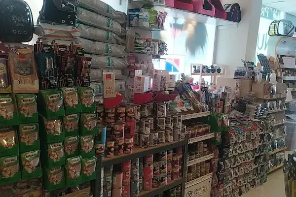 CEMRE PETSHOP - Resim 2