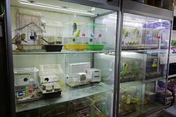 CEMRE PETSHOP - Resim 20