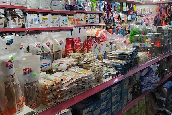 CEMRE PETSHOP - Resim 10
